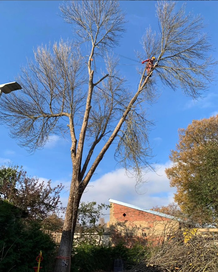 519644133_1265320605406435_3472321271273855271_n