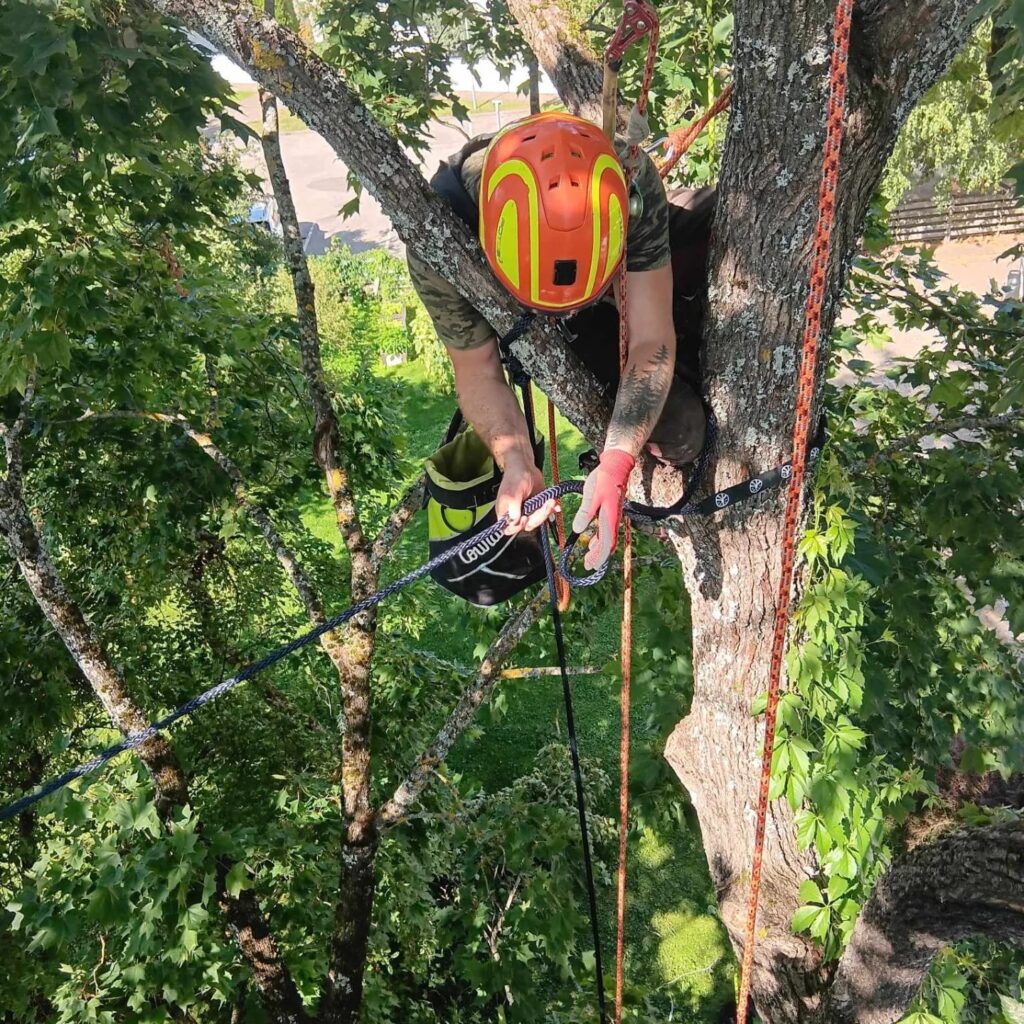 498227331 9709920862418876 3436702643092276247 n 498227331 9709920862418876 3436702643092276247 n