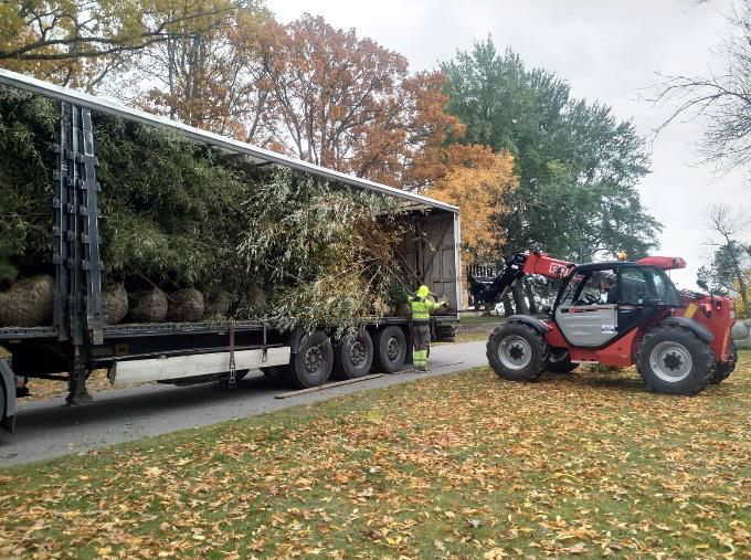 istutamine istutamine